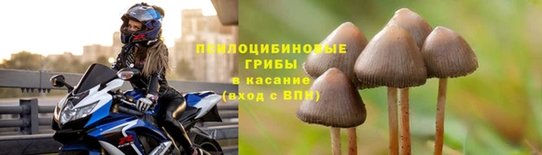 экстази Белокуриха
