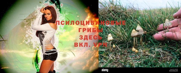 мескалин Заводоуковск