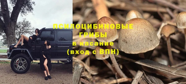 индика Протвино